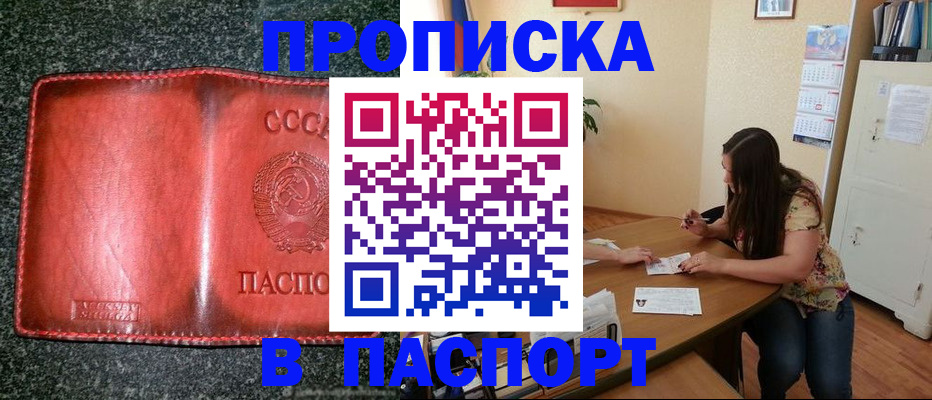 прописка поиск в Химках